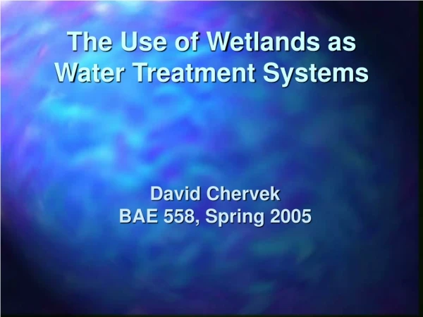 The Use of Wetlands as Water Treatment Systems