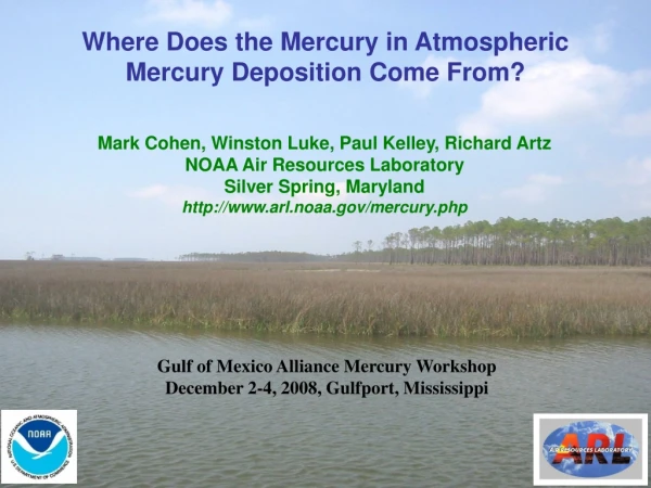 Where Does the Mercury in Atmospheric Mercury Deposition Come From?