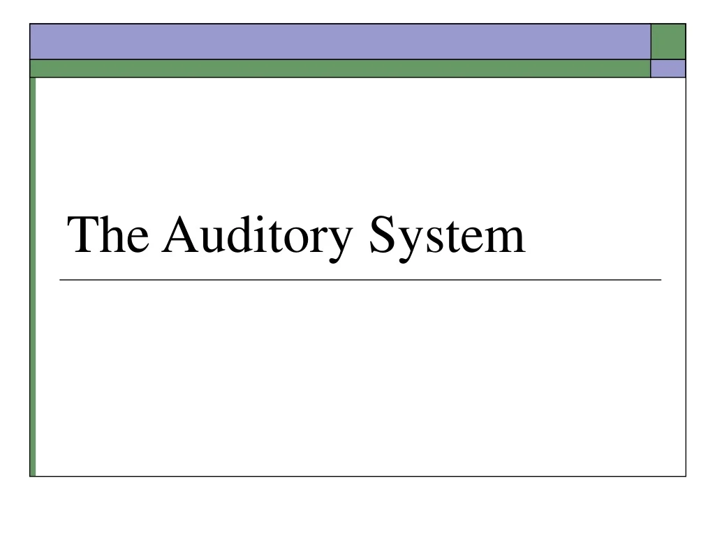 the auditory system