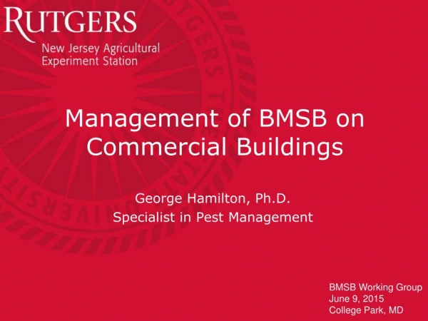 Management of BMSB on Commercial Buildings