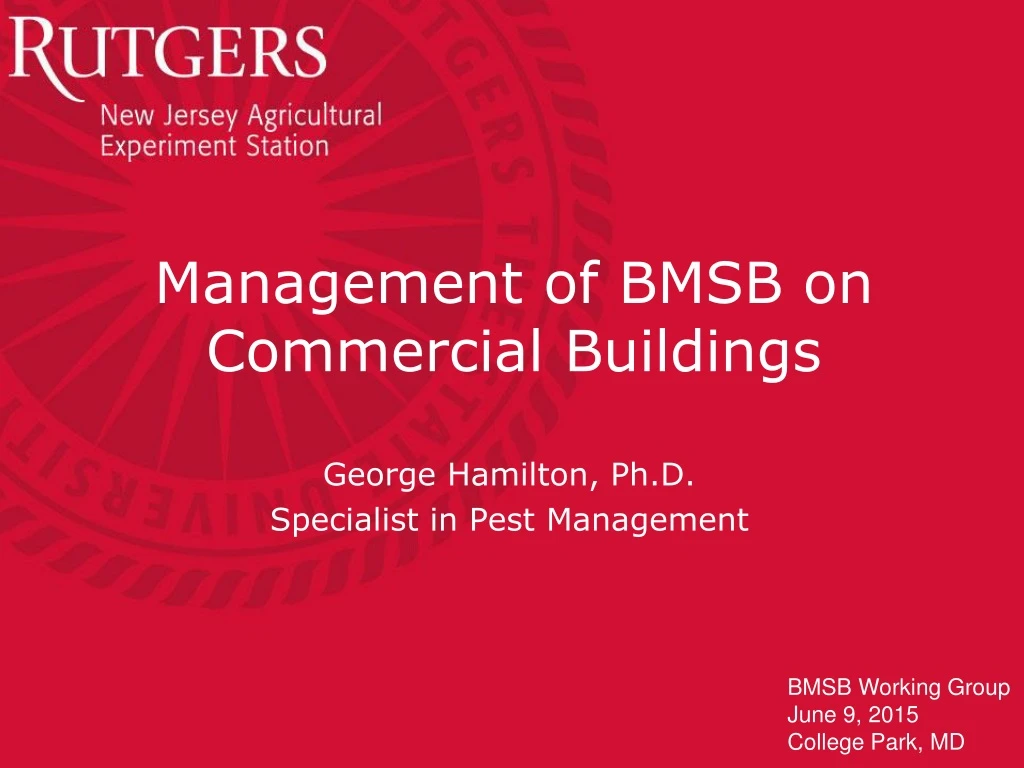 management of bmsb on commercial buildings