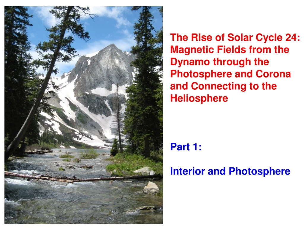 the rise of solar cycle 24 magnetic fields from