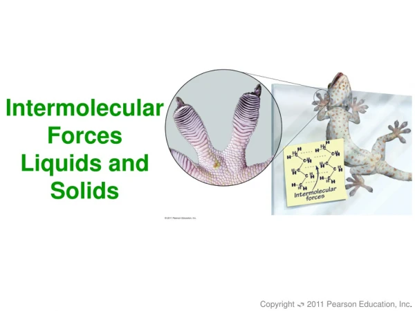 Intermolecular Forces Liquids and Solids