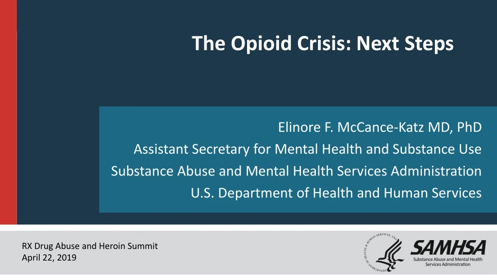 the opioid crisis next steps
