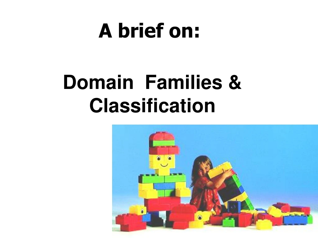 a brief on domain families classification