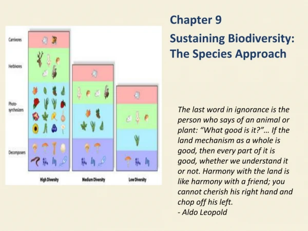 Chapter 9 Sustaining Biodiversity:  The Species Approach