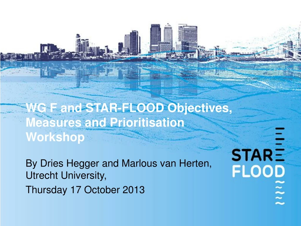 wg f and star flood objectives measures and prioritisation workshop