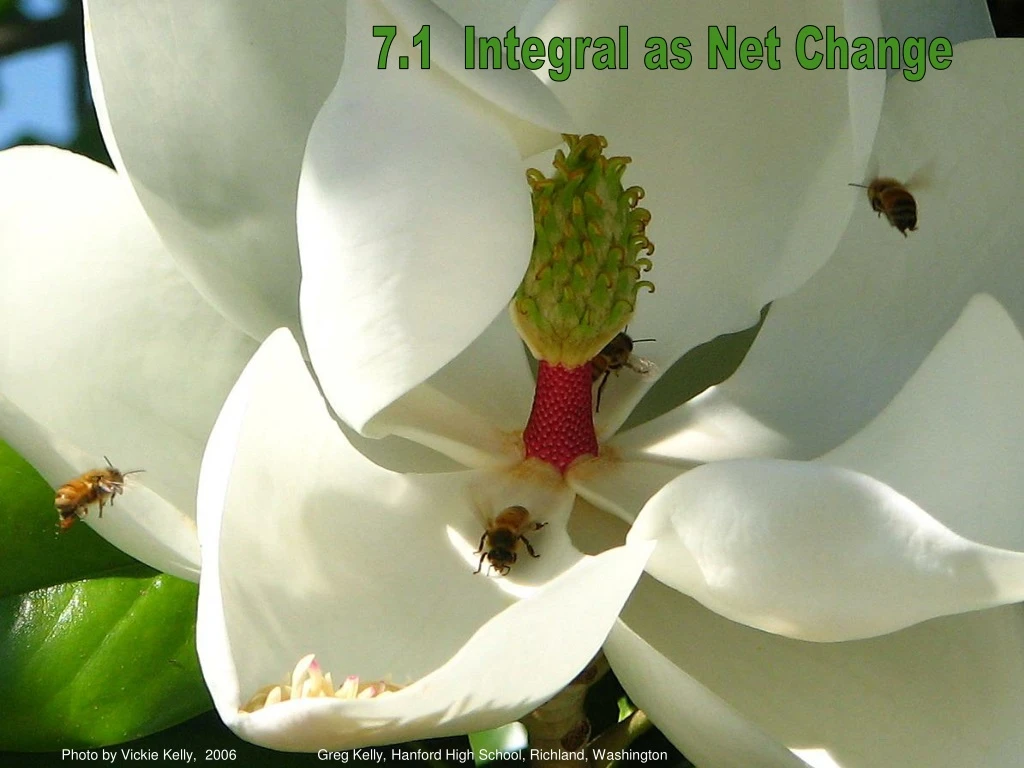 7 1 integral as net change