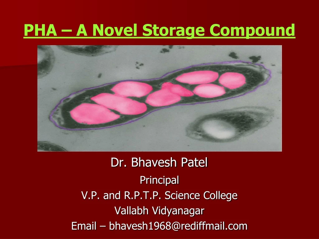 pha a novel storage compound