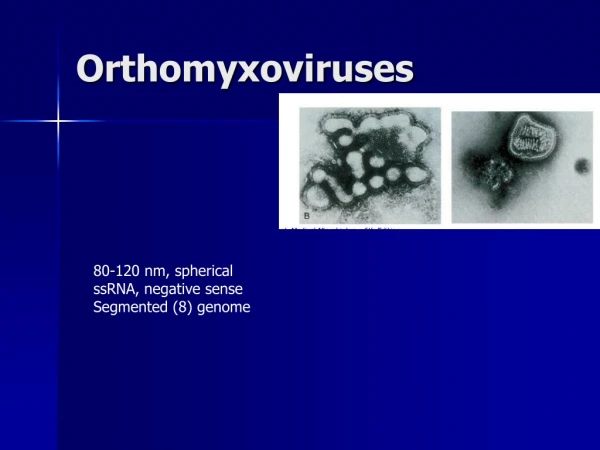 Orthomyxoviruses