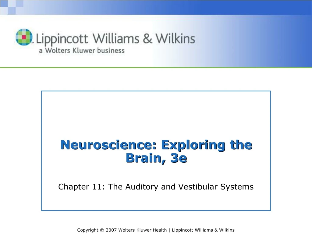 neuroscience exploring the brain 3e