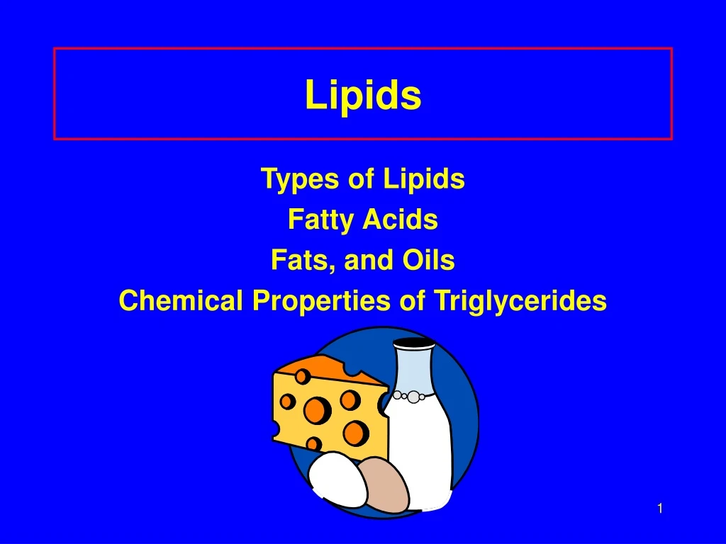 lipids