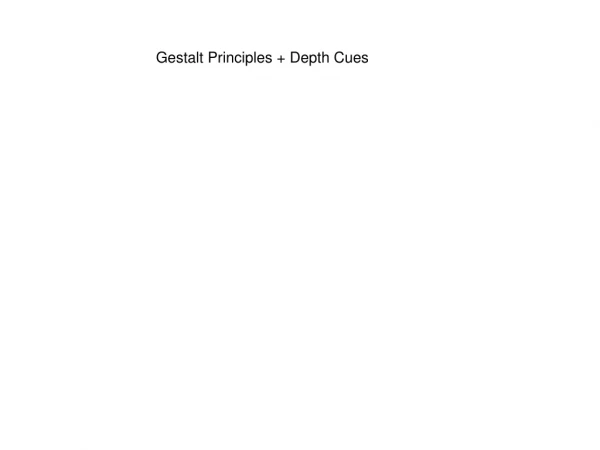 Gestalt Principles + Depth Cues