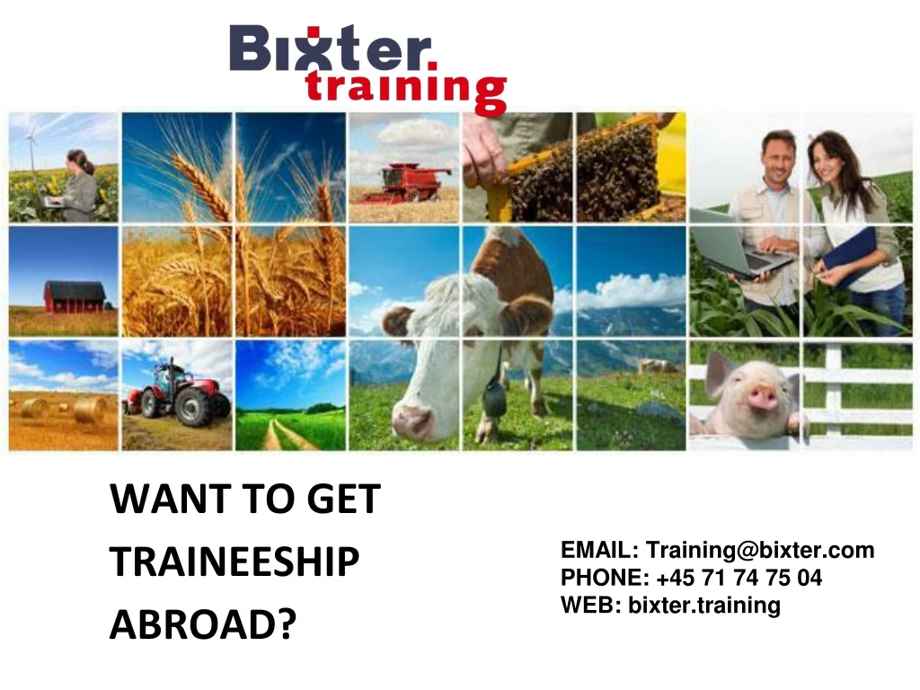 want to get traineeship abroad