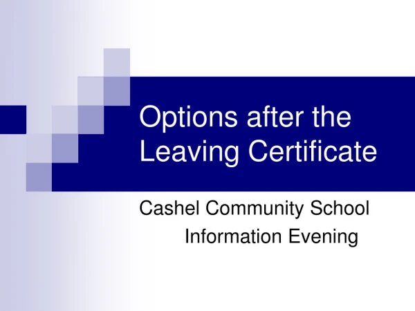 Options after the Leaving Certificate