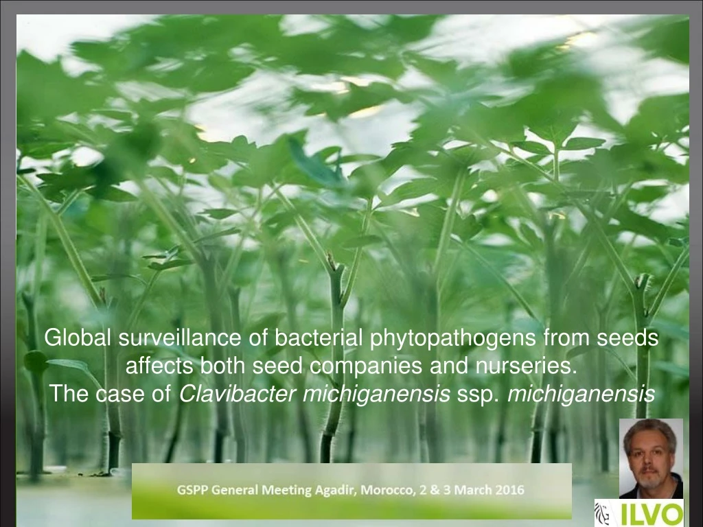 global surveillance of bacterial phytopathogens