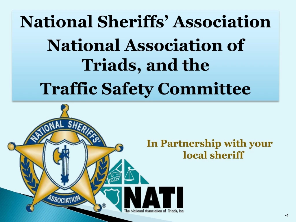 national sheriffs association national