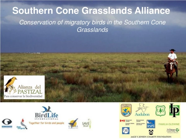 Southern Cone Grasslands Alliance
