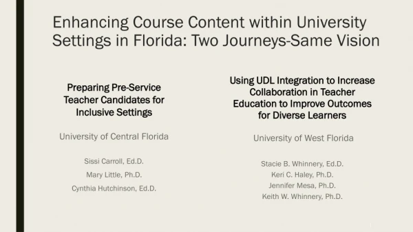 Enhancing Course Content within University Settings in Florida: Two Journeys-Same Vision