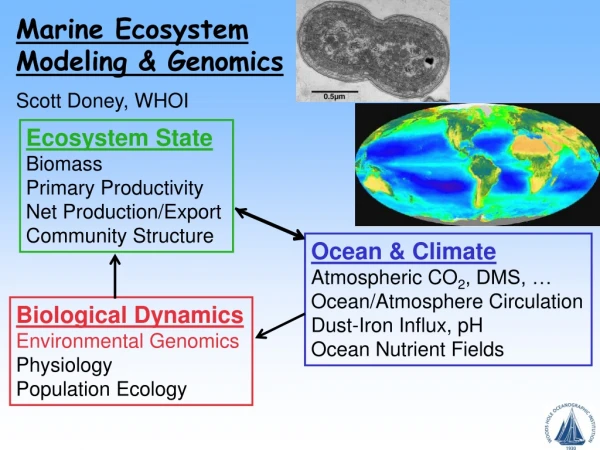 Marine Ecosystem Modeling &amp; Genomics