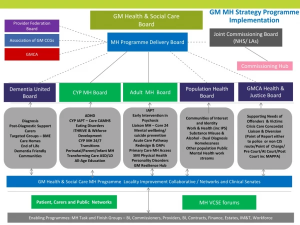 GM MH Strategy Programme Implementation