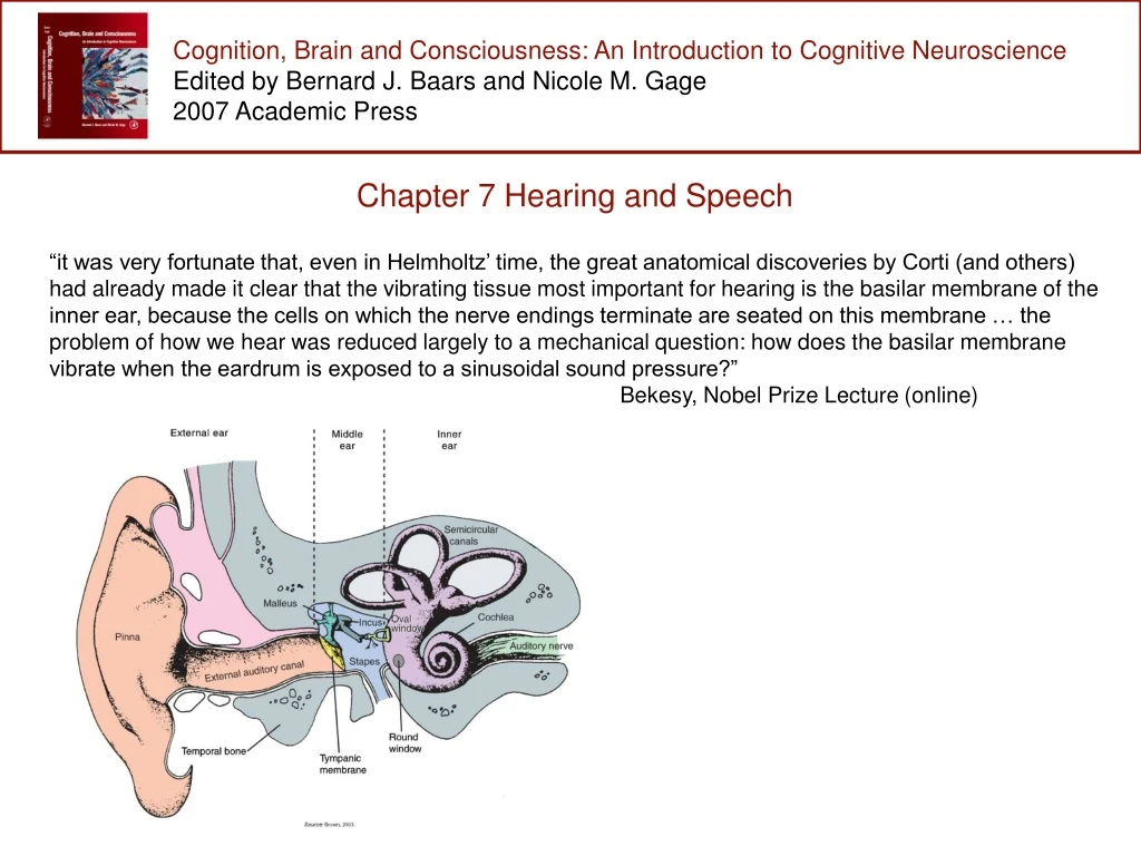 cognition brain and consciousness an introduction