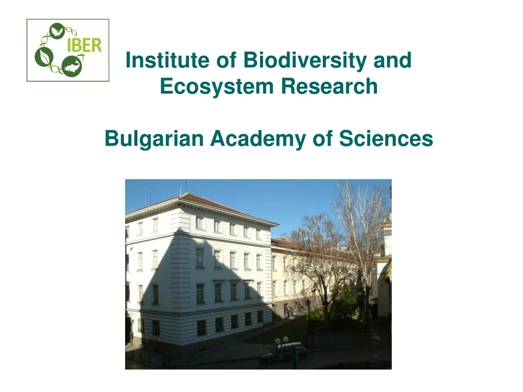 institute of biodiversity and ecosystem research