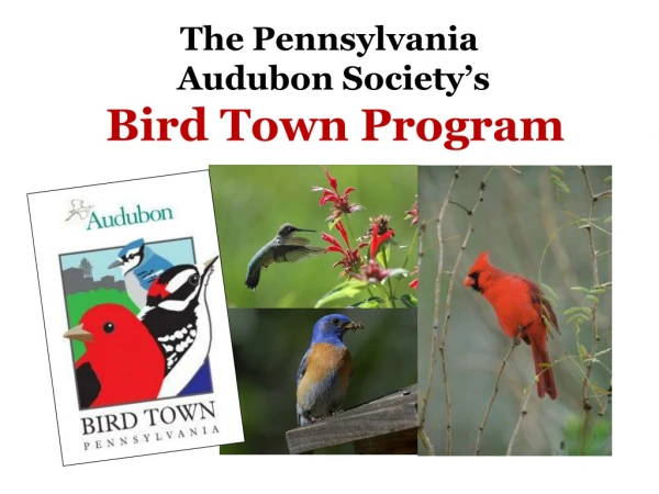 The Pennsylvania  Audubon Society’s Bird Town Program