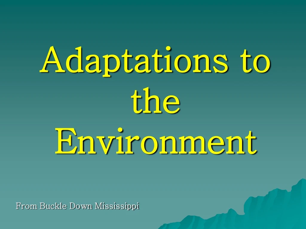 adaptations to the environment