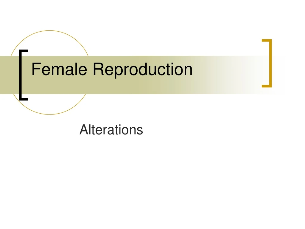 female reproduction