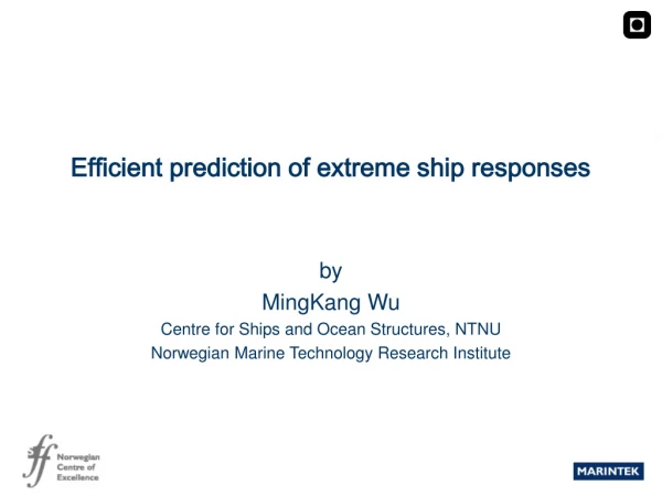 Efficient prediction of extreme ship responses