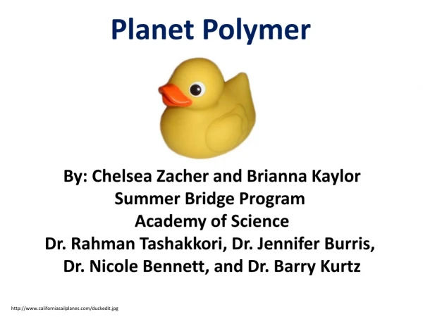 Planet Polymer