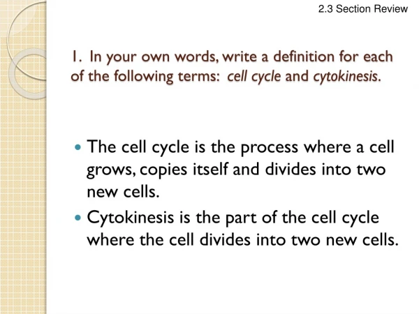 The cell cycle is the process where a cell grows, copies itself and divides into two new cells.