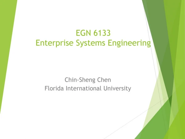 EGN 6133 Enterprise Systems Engineering
