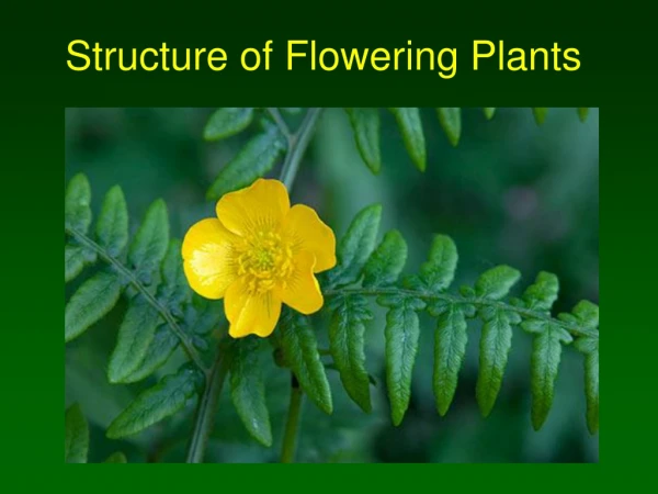 Structure of Flowering Plants