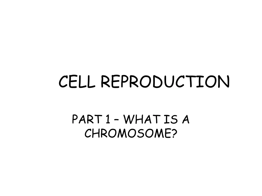 cell reproduction