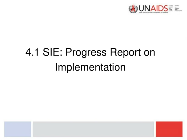 4.1 SIE: Progress Report on Implementation