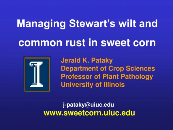 Managing Stewart’s wilt and  common rust in sweet corn