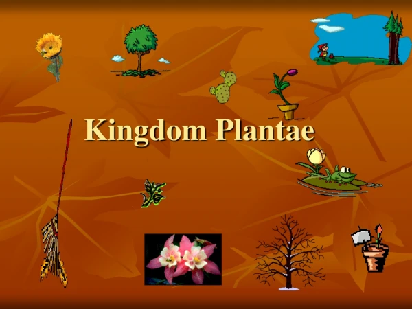 Kingdom Plantae