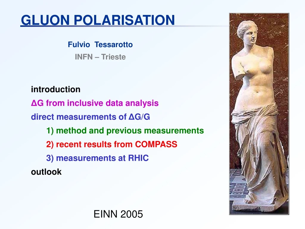 gluon polarisation