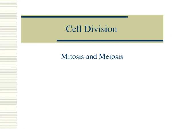 Cell Division