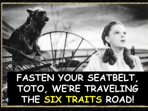 FASTEN YOUR SEATBELT, TOTO, WE’RE TRAVELING THE  SIX TRAITS  ROAD!