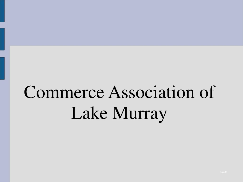 commerce association of lake murray