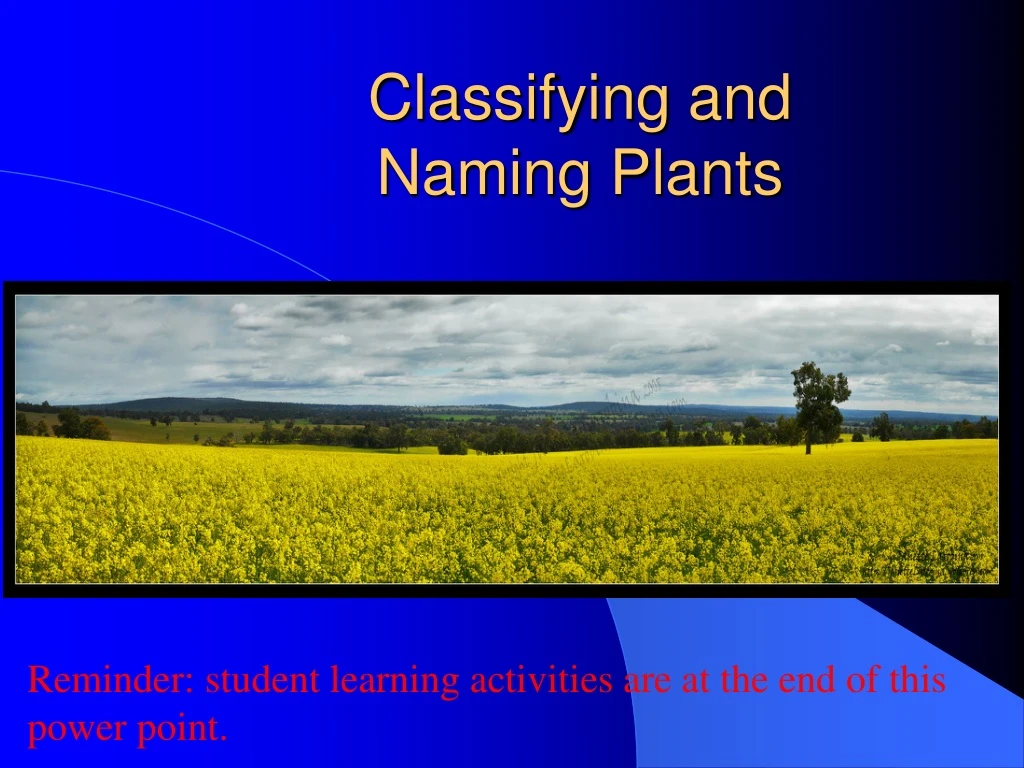 classifying and naming plants