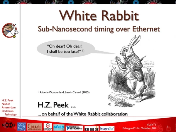 White Rabbit Sub-Nanosecond timing over Ethernet