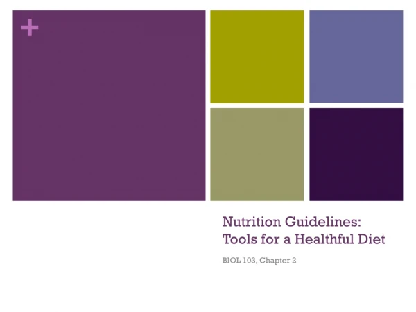 Nutrition Guidelines: Tools for a Healthful Diet