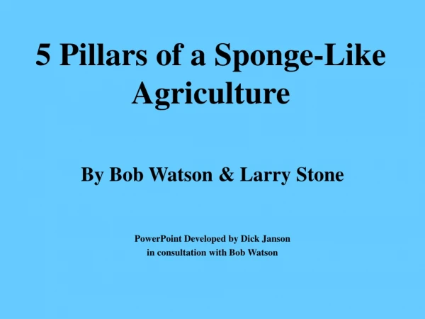 5 Pillars of a Sponge-Like Agriculture