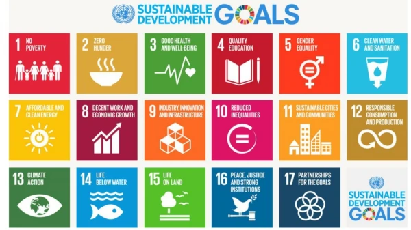 What did people say about the SDGs when they first appeared?