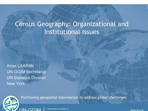 Census Geography: Organizational and Institutional Issues