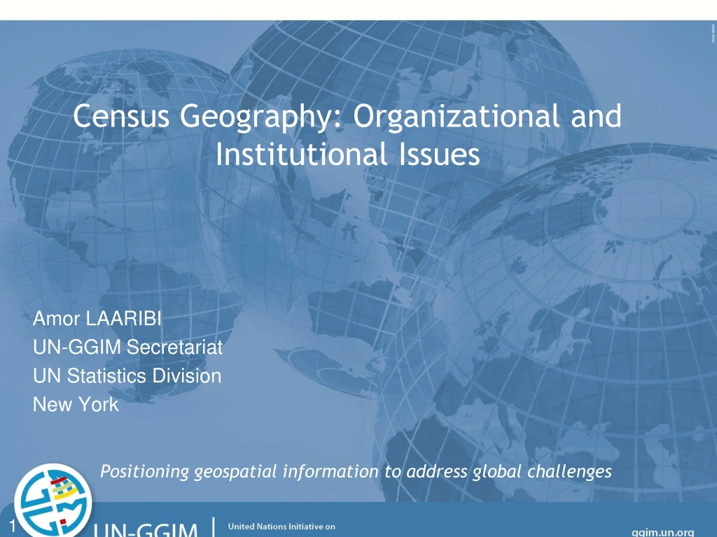 census geography organizational and institutional issues